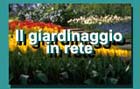 Tutte le risorse in italiano disponibili sulla rete